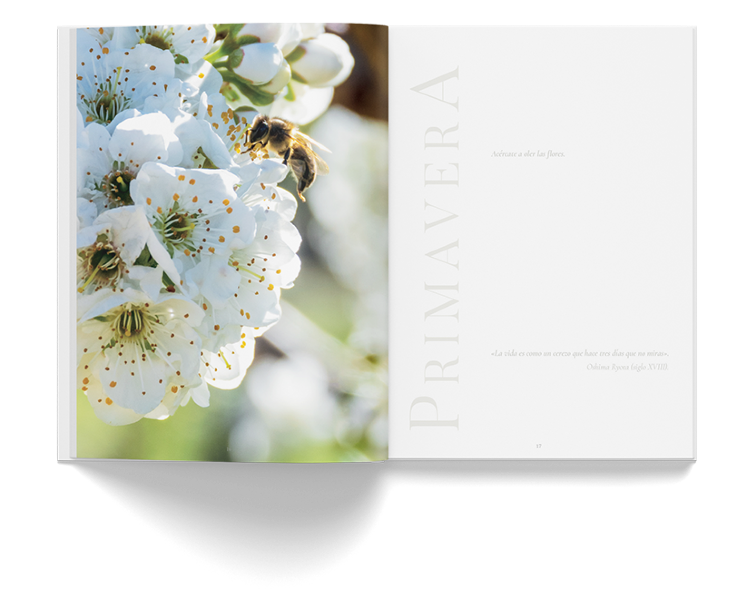 Adela.Garcia.EditorialDesign