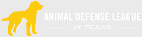 Editorial design around the world Diseño editorial alrededor del mundo