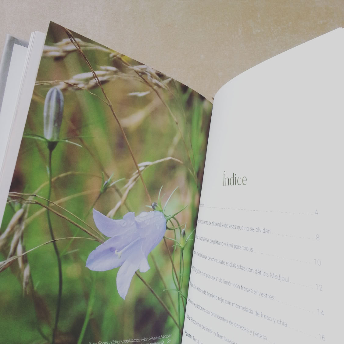 Adela.Garcia.EditorialDesign