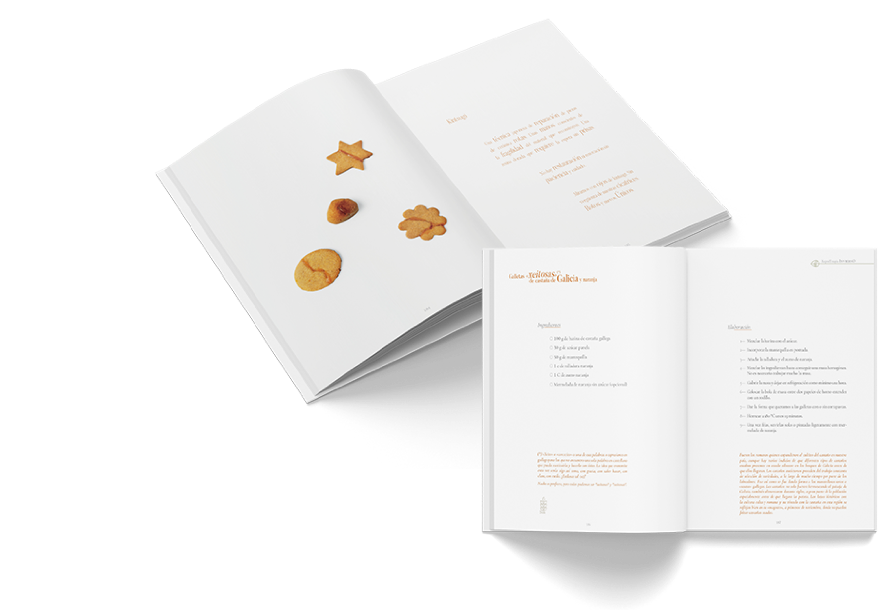 Adela.Garcia.EditorialDesign