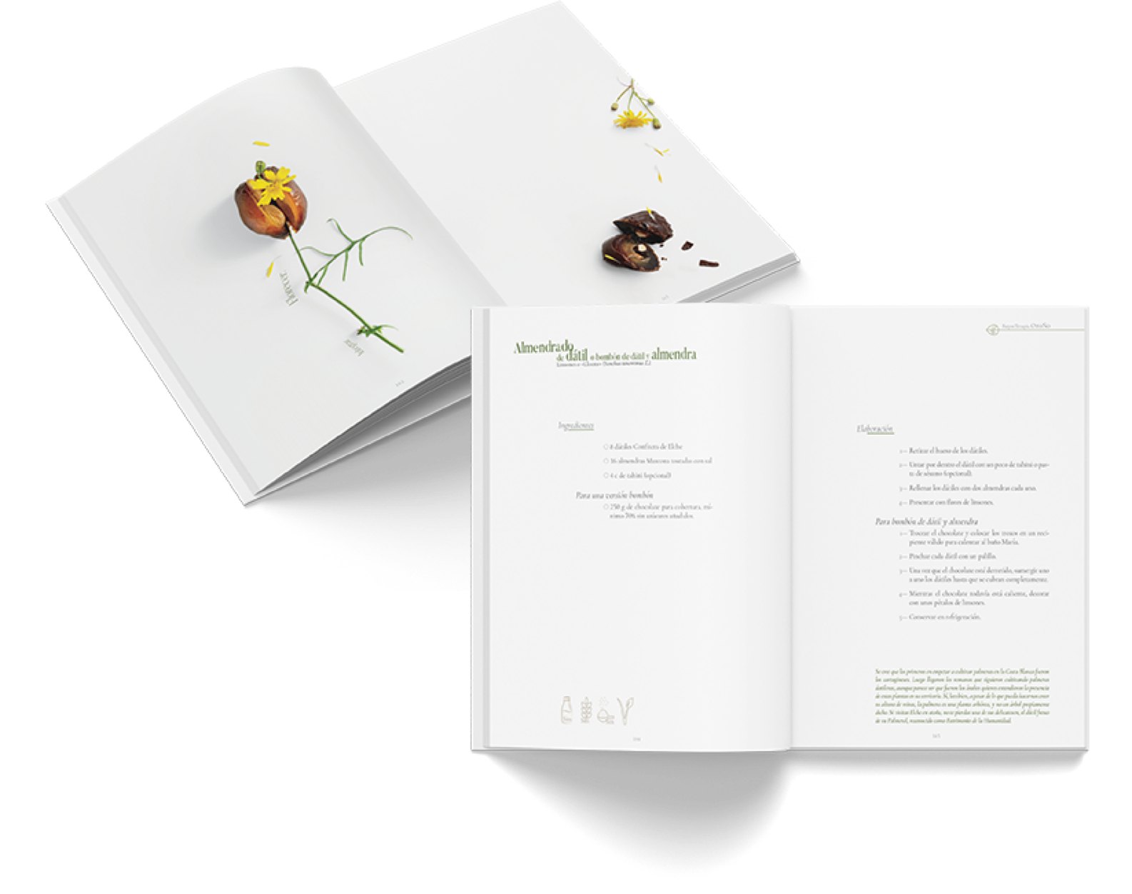 Adela.Garcia.EditorialDesign