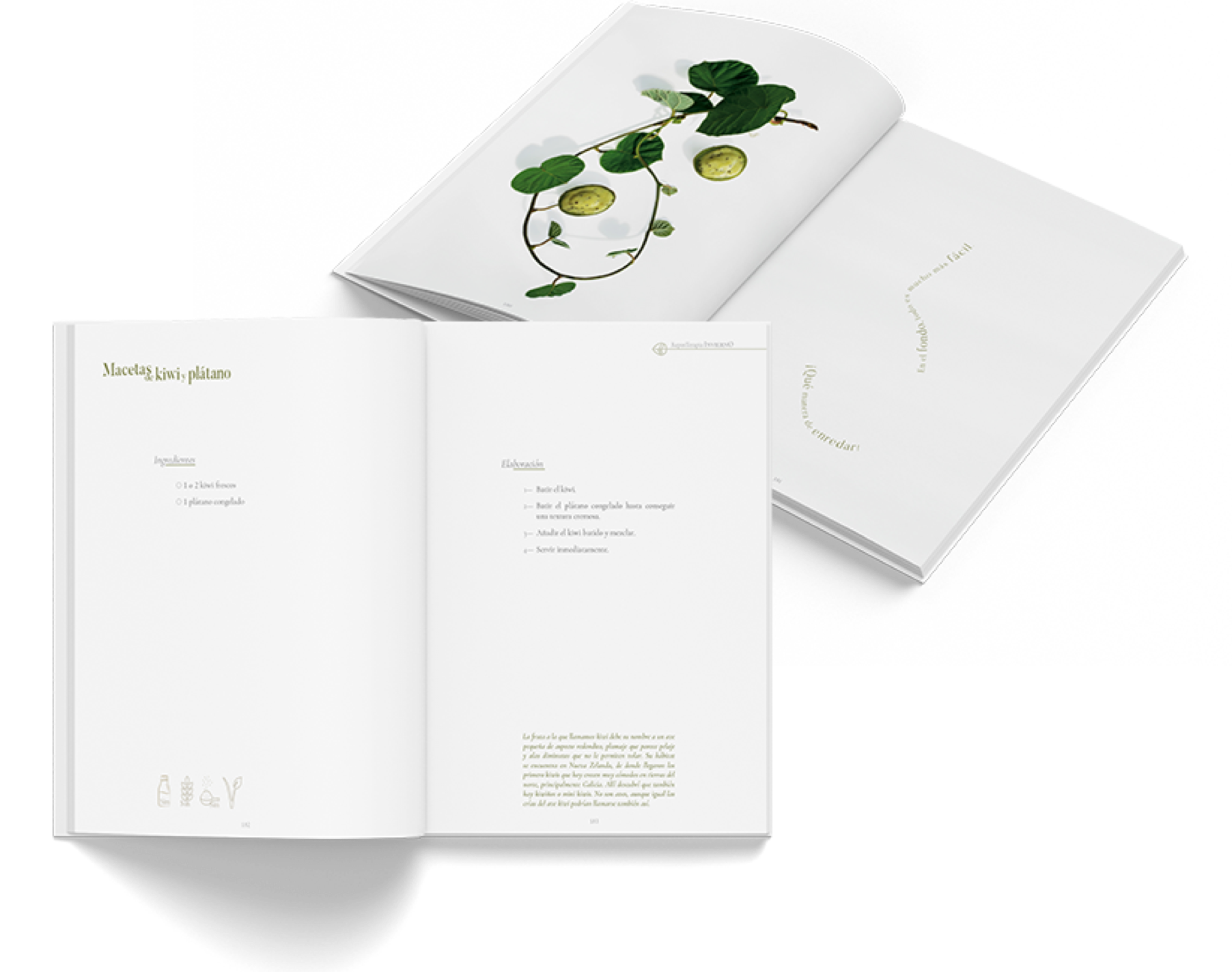 Adela.Garcia.EditorialDesign