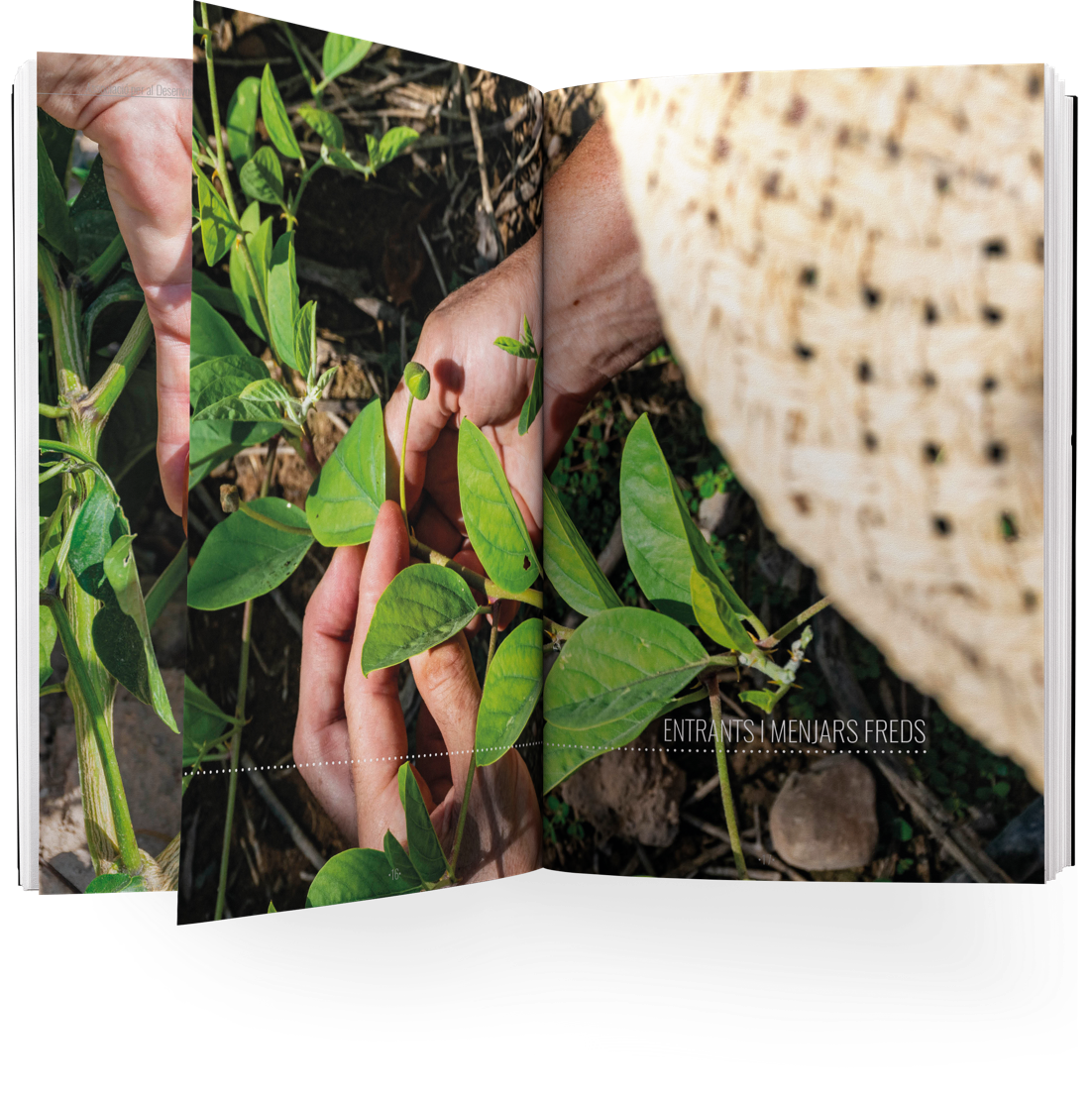 Adela.Garcia.EditorialDesign