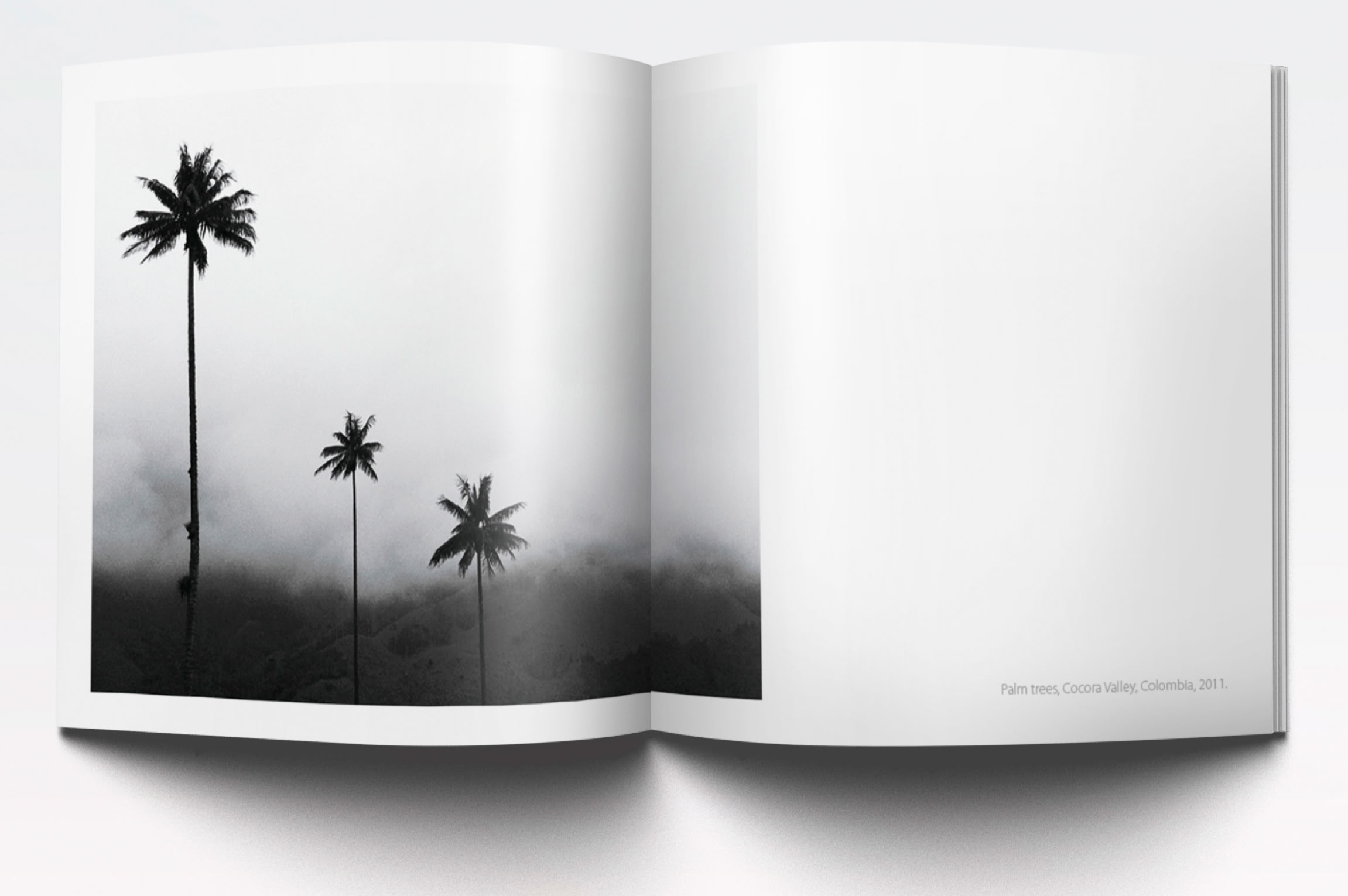 Adela.Garcia.EditorialDesign