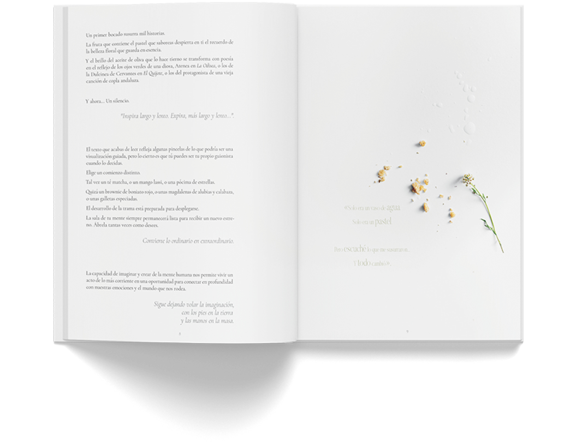 Adela.Garcia.EditorialDesign