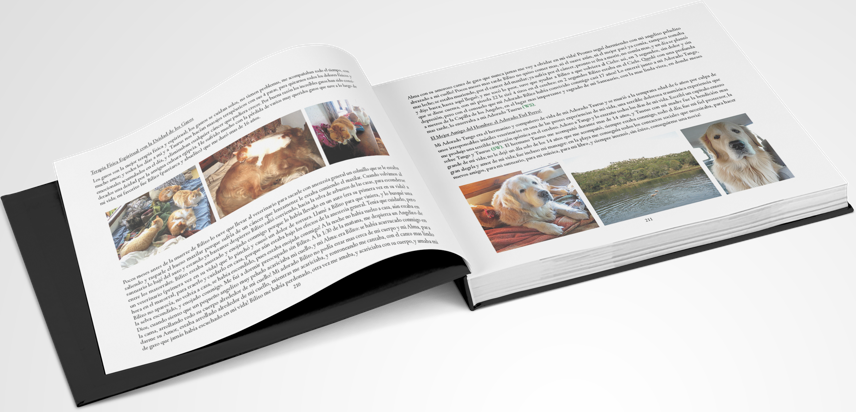 Adela.Garcia.EditorialDesign