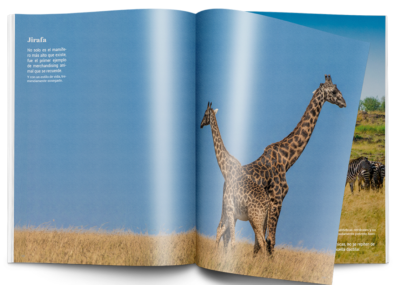 Adela.Garcia.EditorialDesign