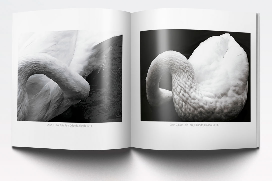 Adela.Garcia.EditorialDesign